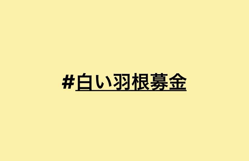 白い羽根 募金 LIFTCOFFEE リフトコーヒー  個展 山口芳水
