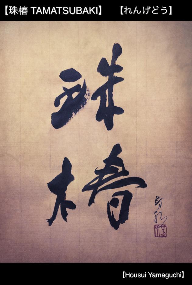 れんげどう　佐賀　デザイン書