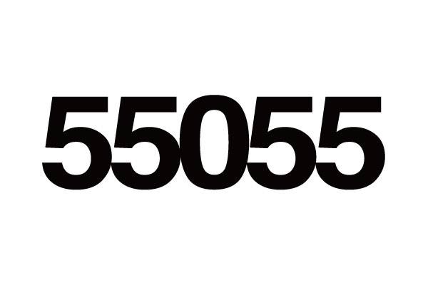 55055 55055
